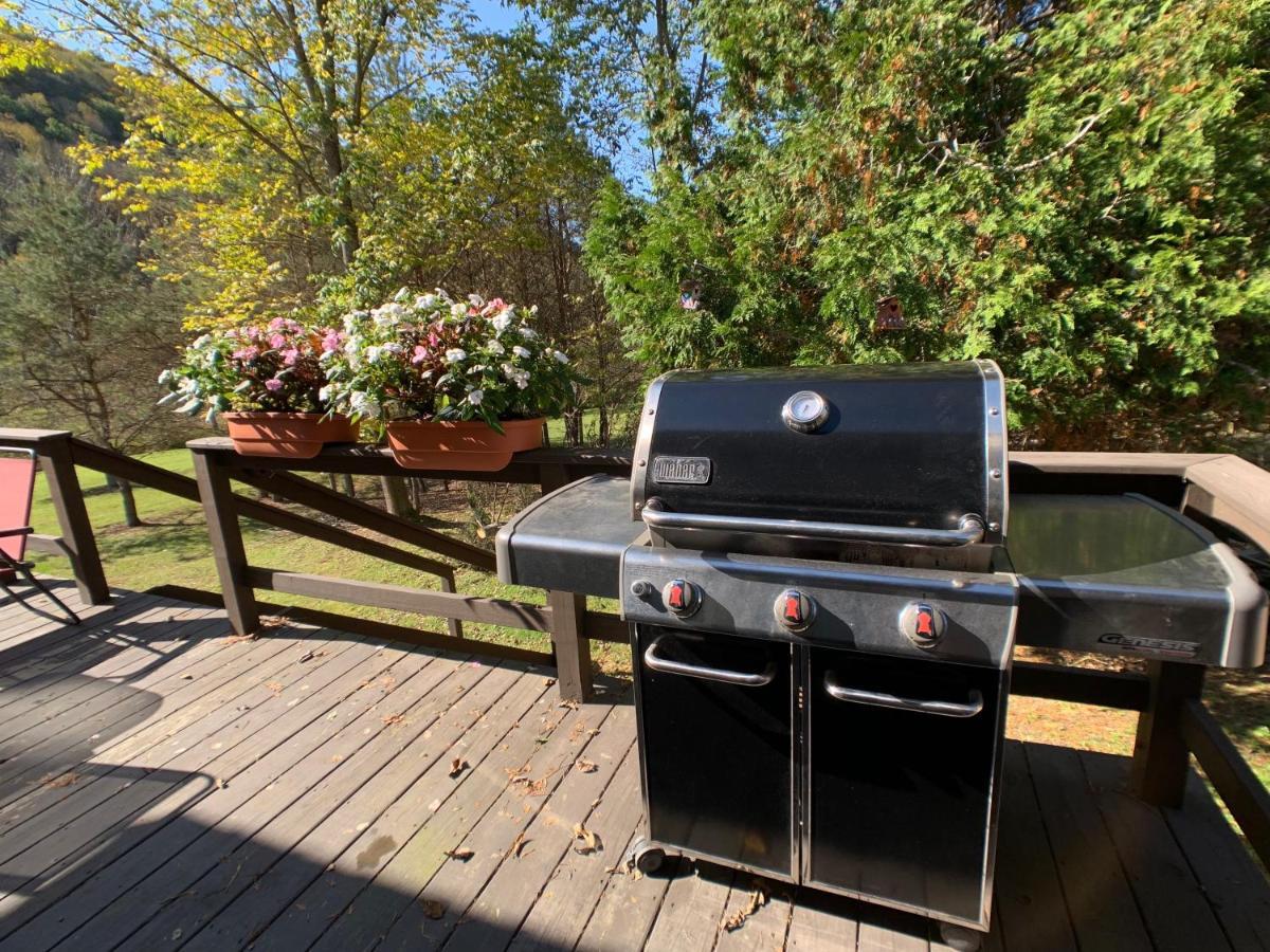 Maples Retreat - 2 Acres - Fireplace Ellicottville Luaran gambar