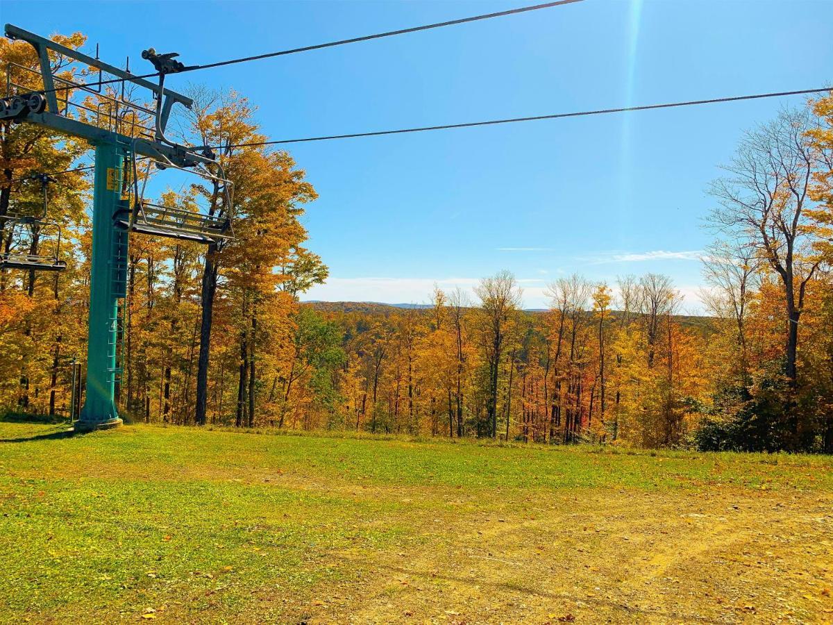 Maples Retreat - 2 Acres - Fireplace Ellicottville Luaran gambar